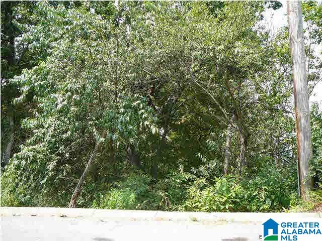 728 Hillyer High Road, Unit 9 Anniston, AL 36207 - Photo 7 of 8