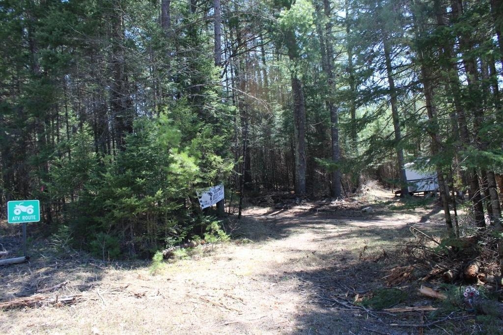 55 N Highway, Unit 3 Pearson, WI 54462 - Photo 13 of 13