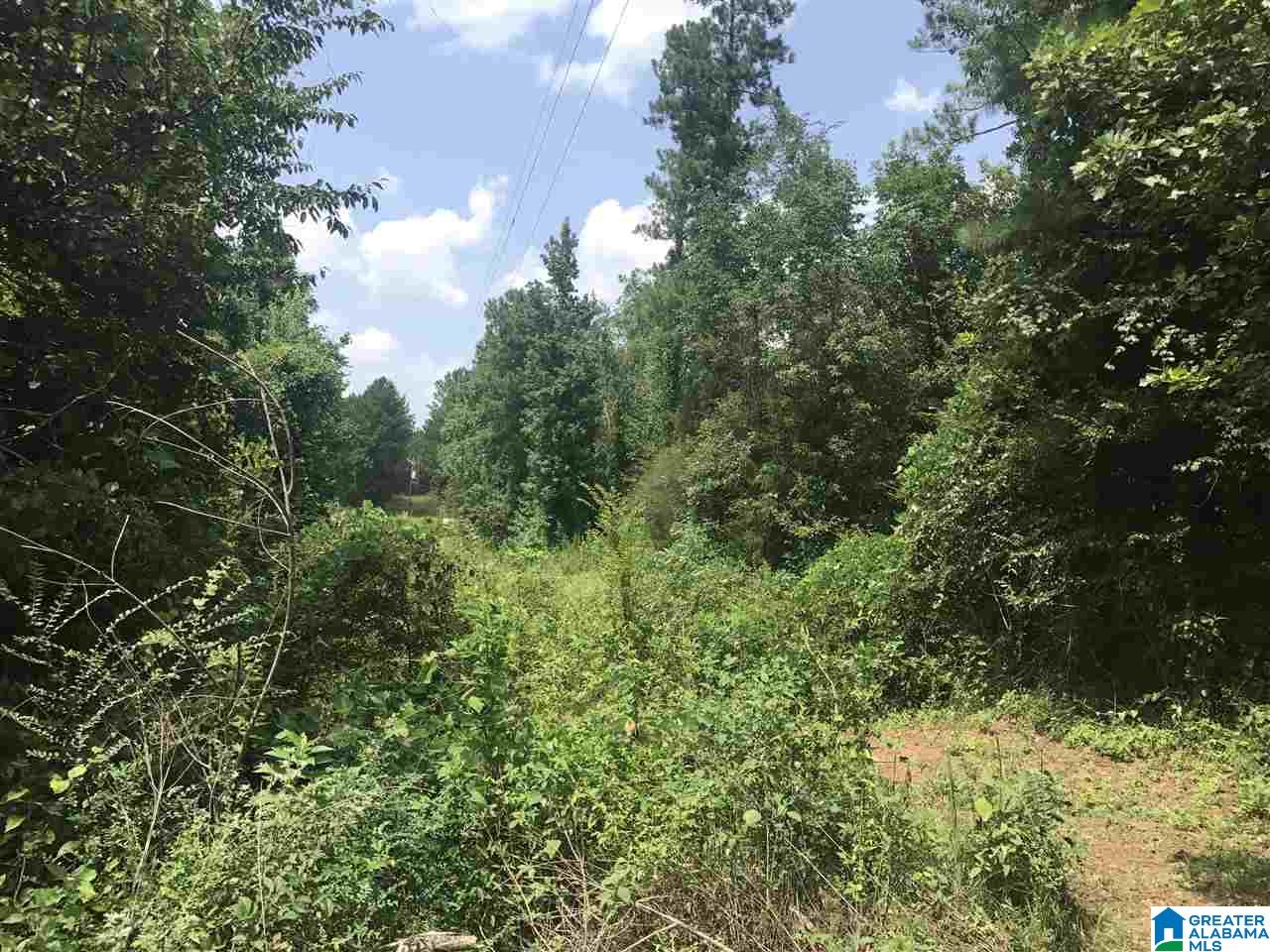 River Bend Road, Unit 2 West Blocton, AL 35184 - Photo 7 of 10
