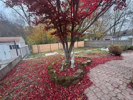 a view of a backyard with garden
