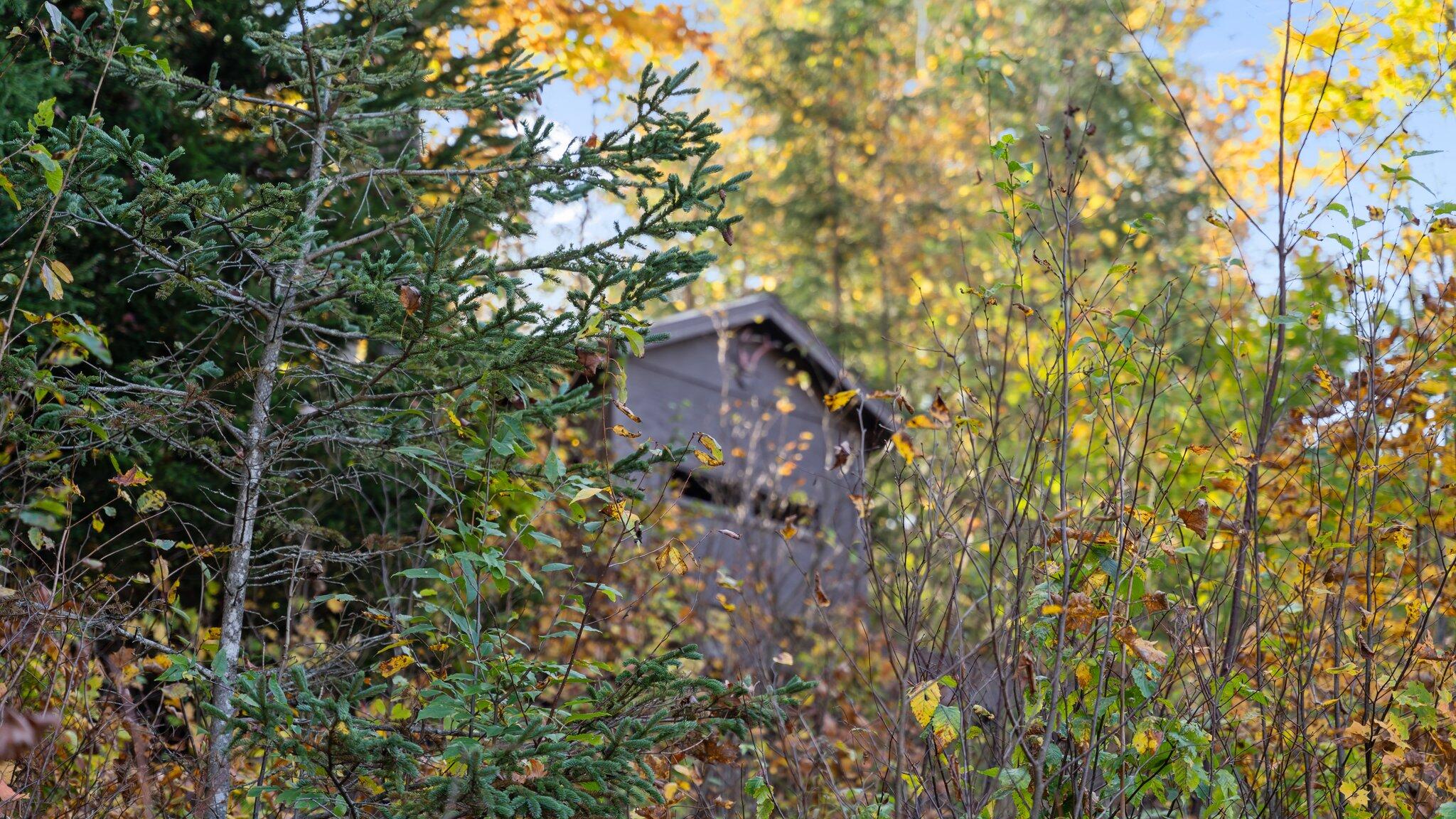 Pyke School Road Gaylord, MI 49735 - Photo 8 of 9 Gallery Image 8