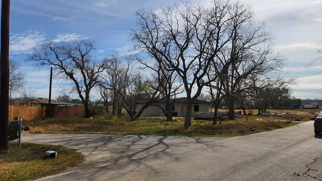 a view of a yard with a tree