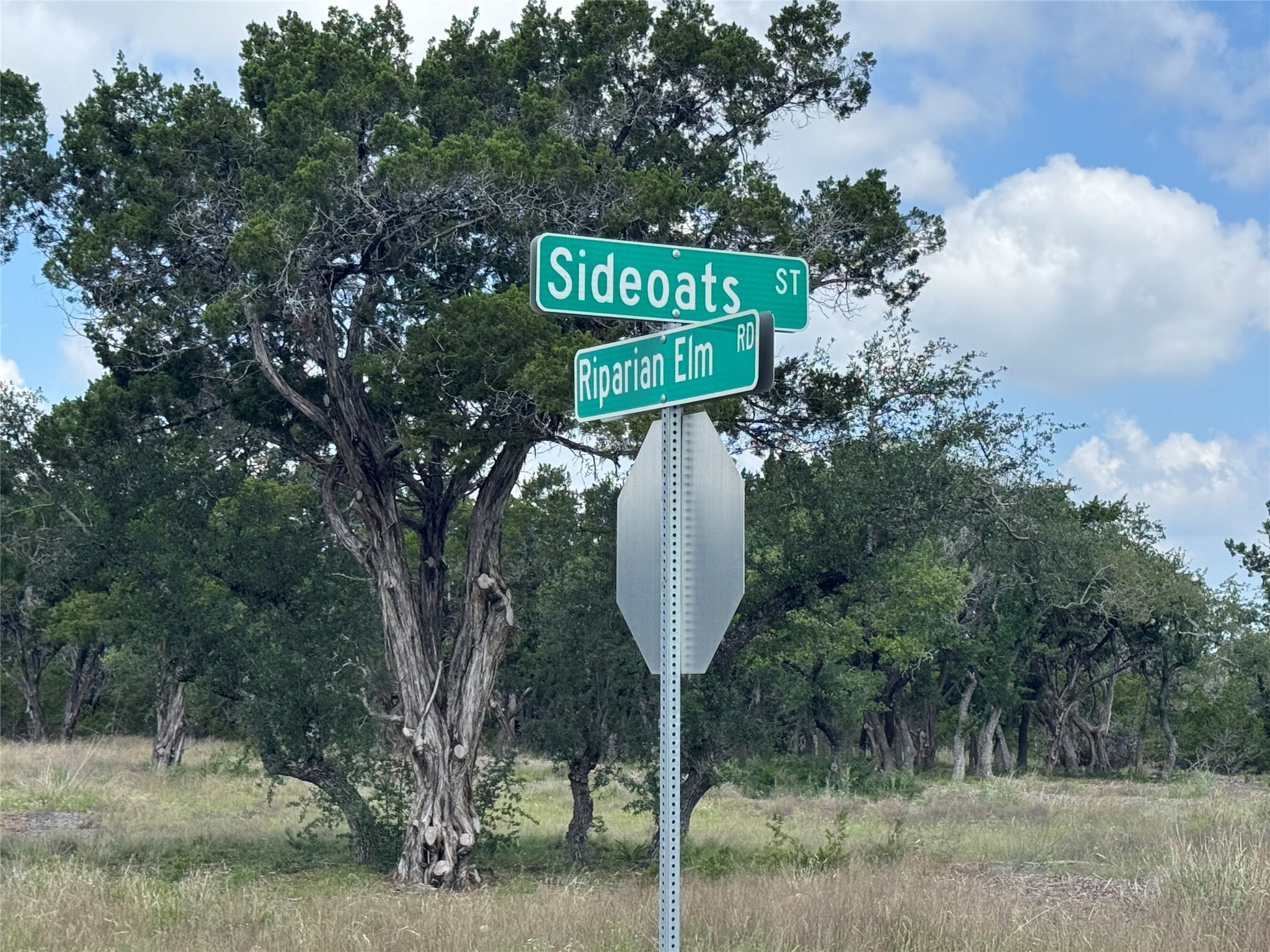 Lot 37 Riparian Elm Road Bertram, TX 78605 - Photo 13 of 13 a sign that is on a pole
