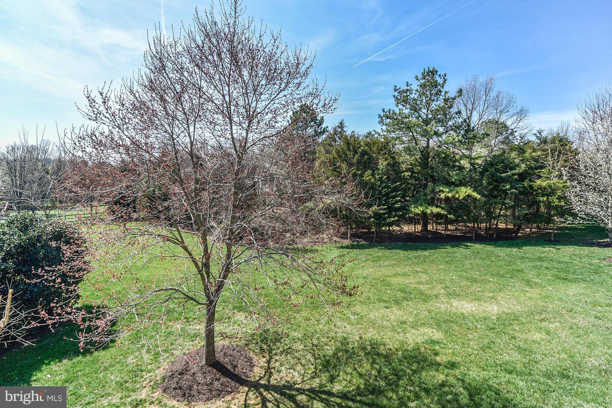 10412 Grey Fox Road Potomac, MD 20854 - Photo 29 of 30 a view of a garden