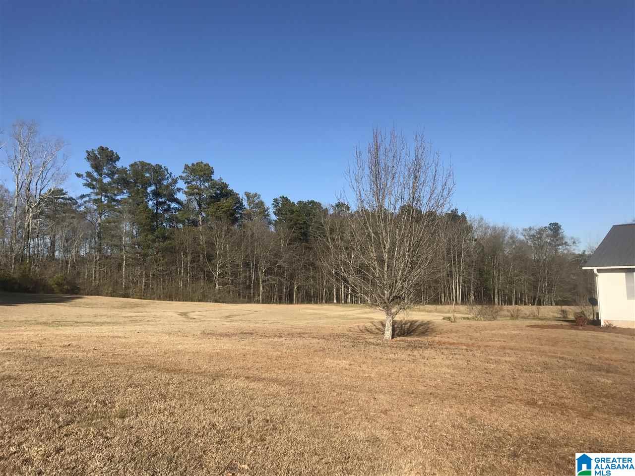 391 Willis Road Ashland, AL 36251 - Photo 7 of 33