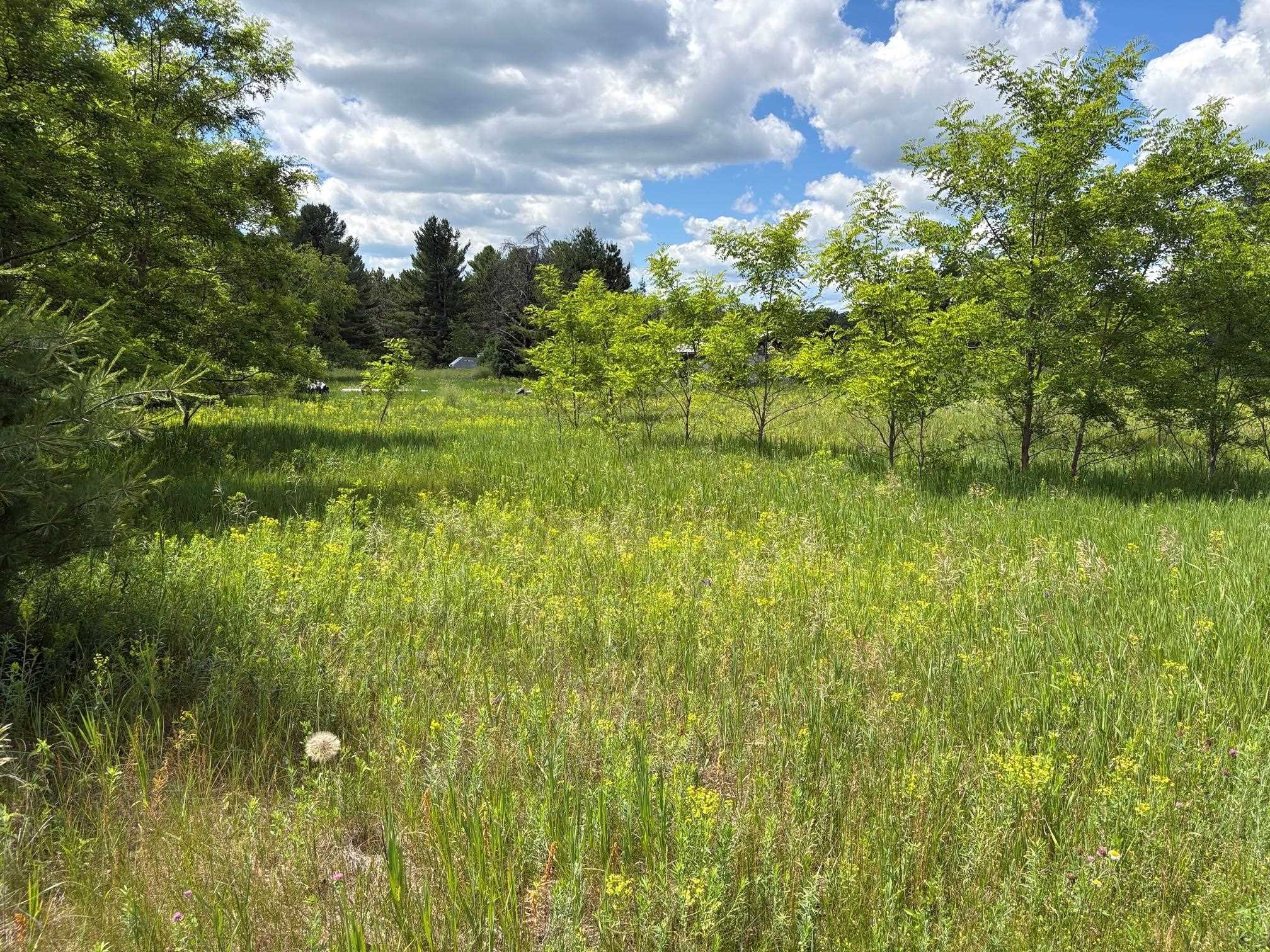 North Greenview Lane, Unit 2 Crivitz, WI 54114 - Photo 3 of 9