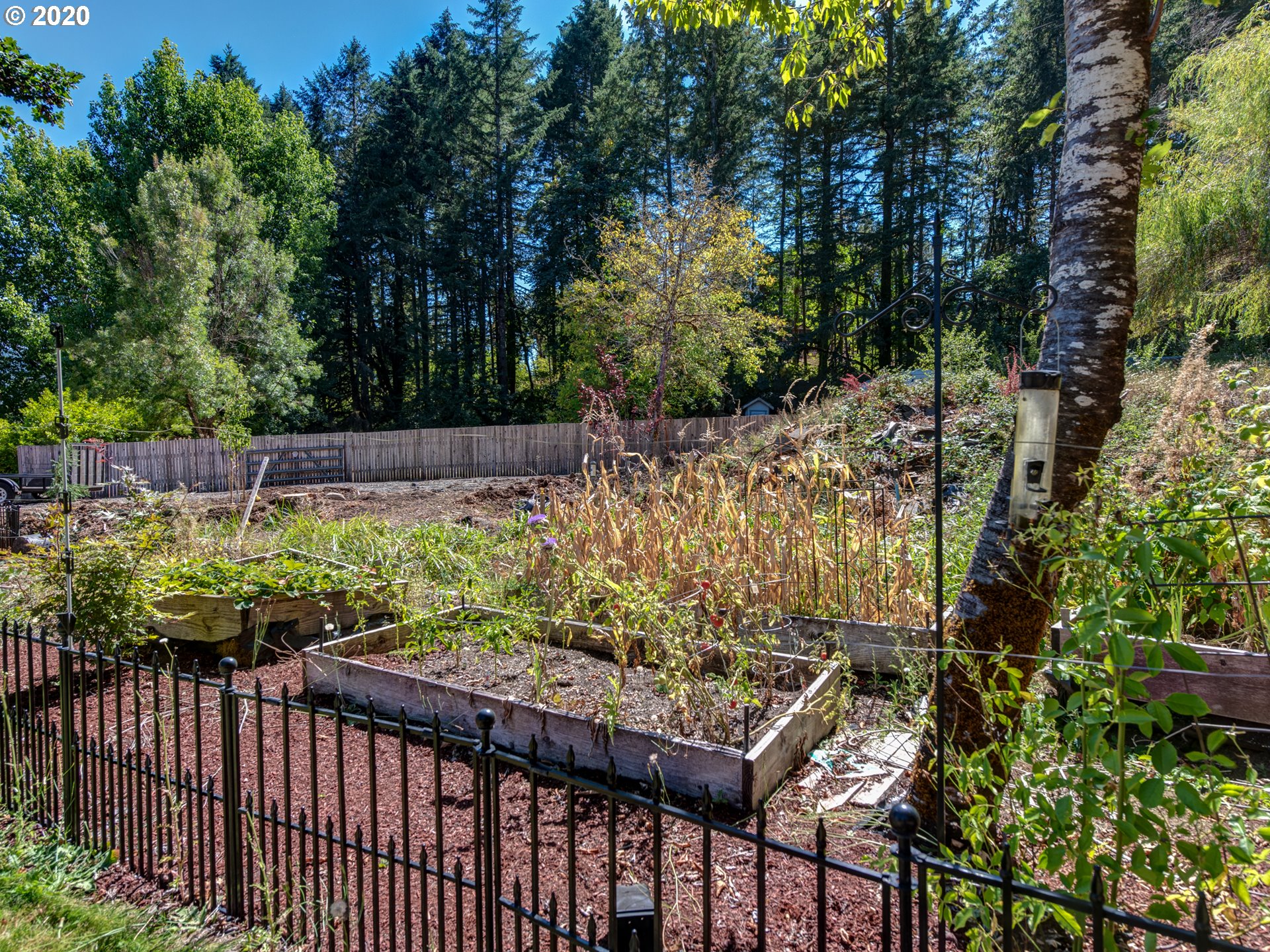 90774 Hill Road Springfield, OR 97478 - Photo 26 of 31