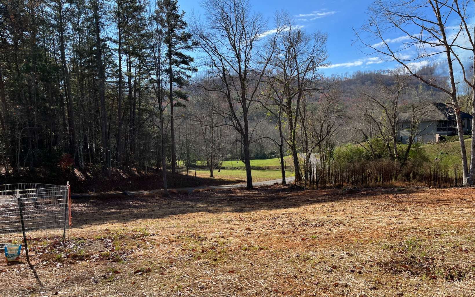654 Burger Road Murphy, NC 28906 - Photo 27 of 33 a view of a backyard with large trees