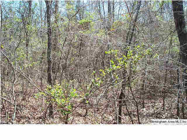 664 Mill Branch Road, Unit 17AC Jacksonville, AL 36265 - Photo 10 of 14