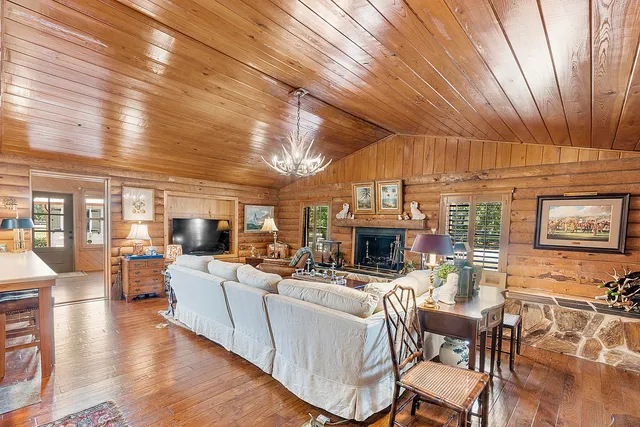 a view of a tree in a yard