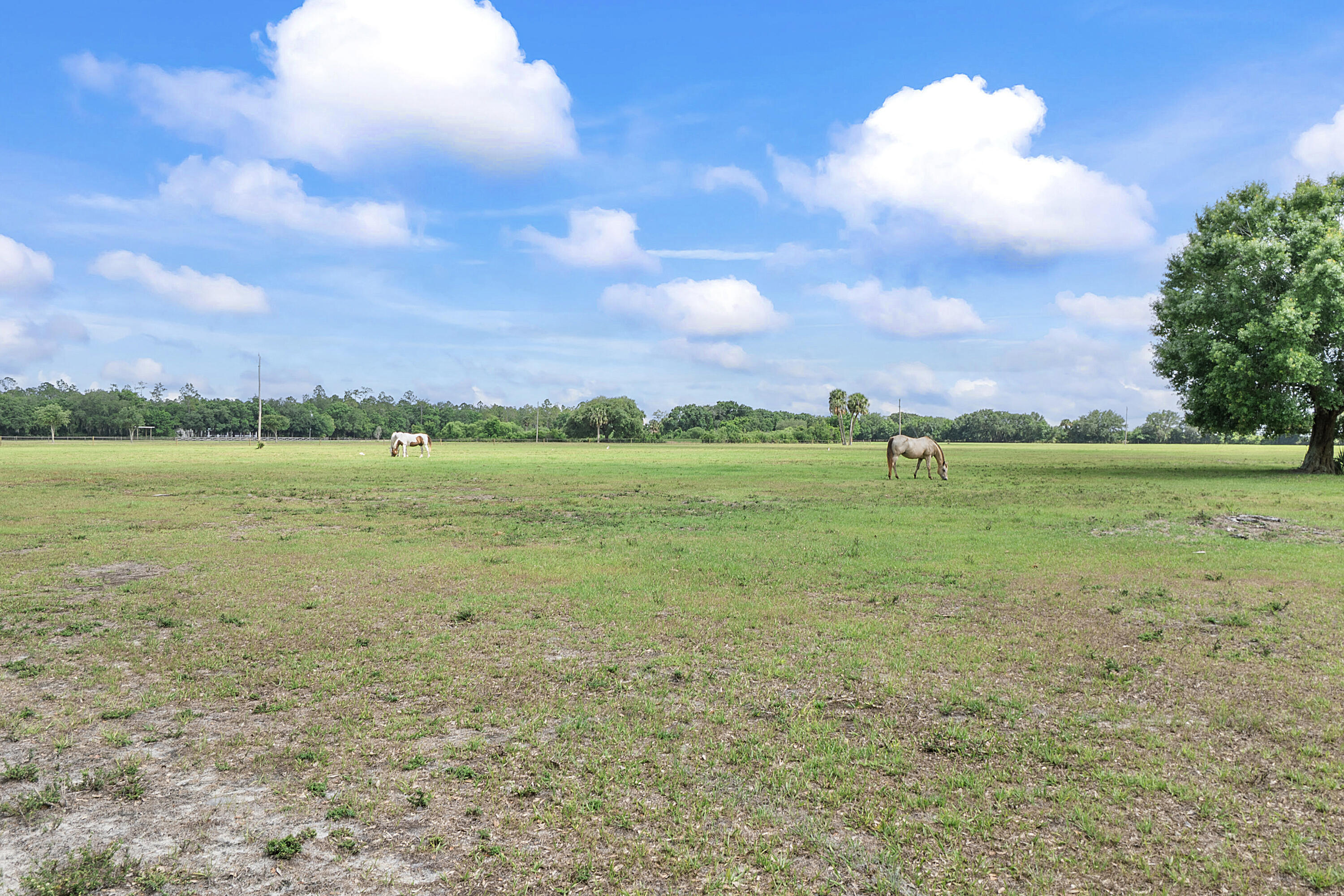 32801 Highway 441, Unit 64 Okeechobee, FL 34972 - Photo 133 of 138 32801 US-441 v2_063