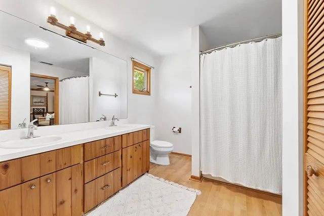 a view of a yard in a forest