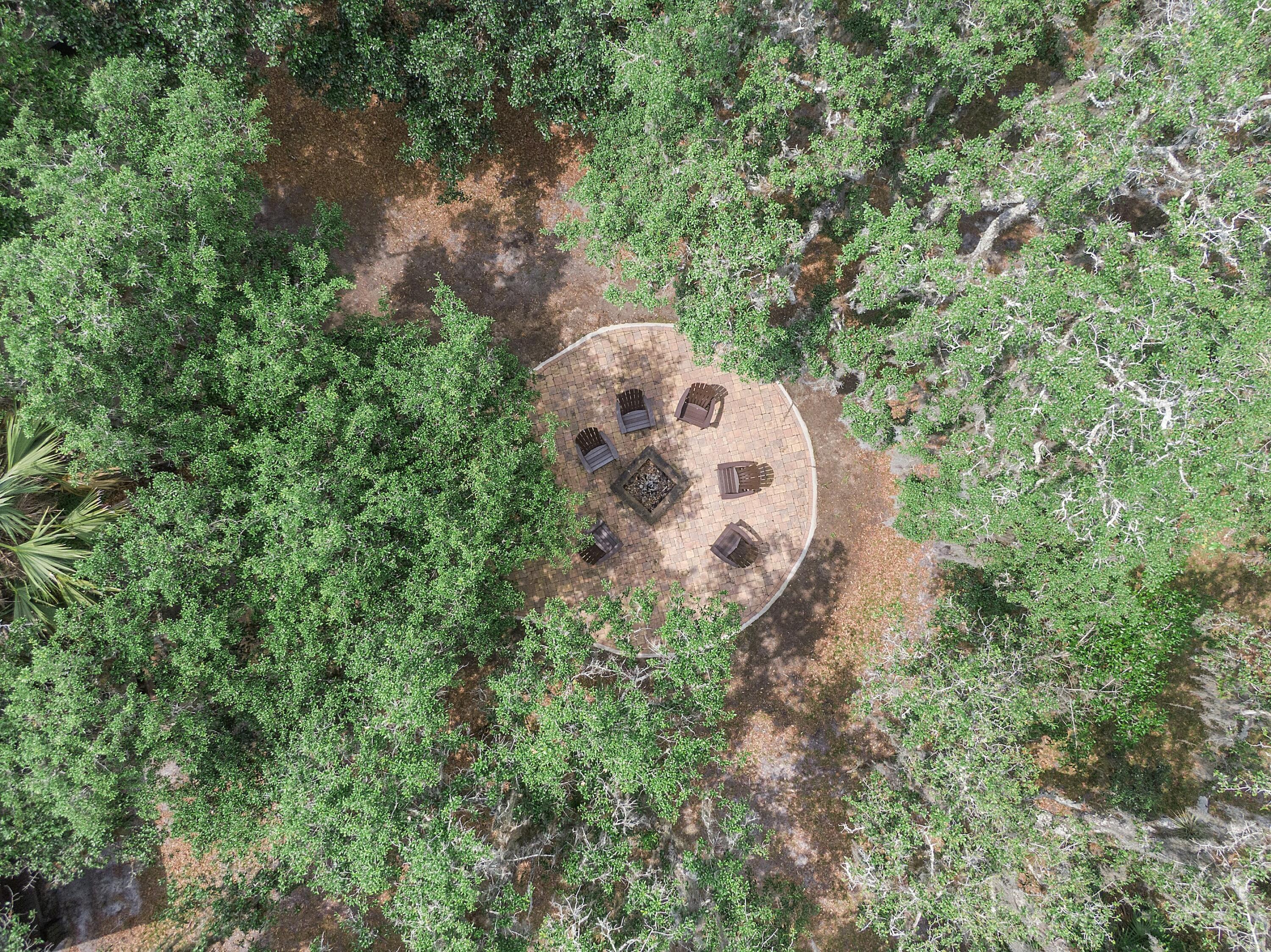 32801 Highway 441, Unit 64 Okeechobee, FL 34972 - Photo 95 of 138 a view of a yard in a forest