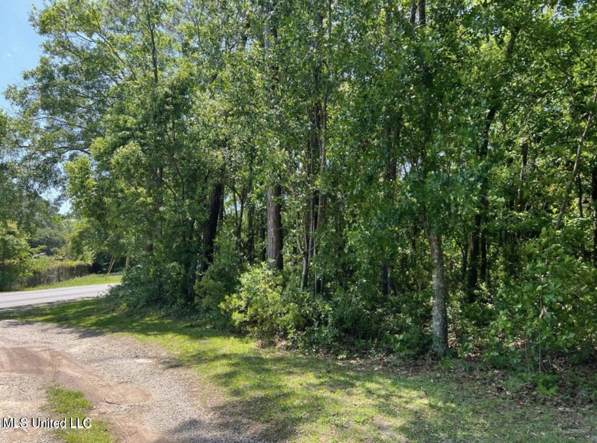 No Eden Street Pascagoula, MS 39581 - Photo 2 of 3 IMG_9093