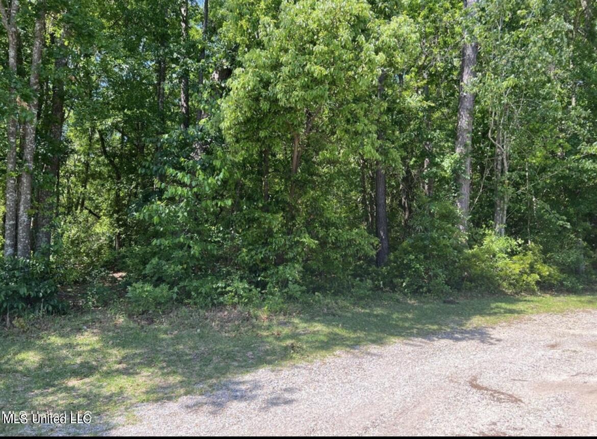 No Eden Street Pascagoula, MS 39581 - Photo 3 of 3 IMG_9094