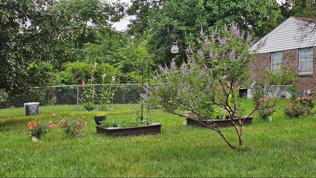 103 Azalea Avenue Dayton, TN 37321 - Photo 6 of 40 1000029385