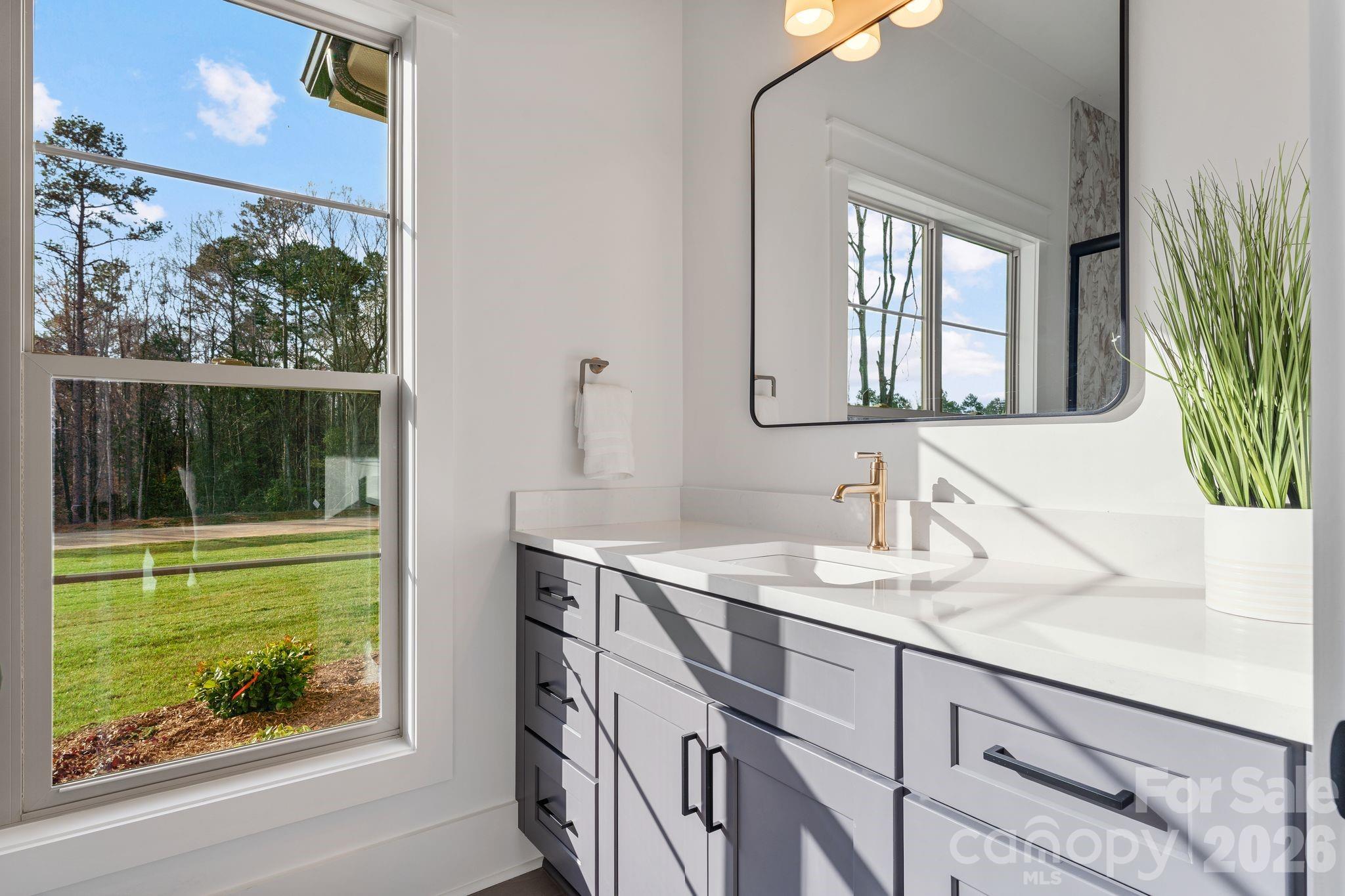 636 American Bittern Way Clover, SC 29710 - Photo 26 of 41 a bathroom with a sink mirror and a window
