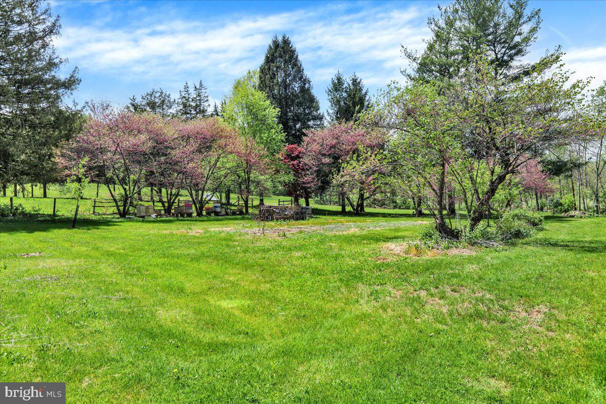 480 Mountz Road Birdsboro, PA 19508 - Photo 56 of 68 Gallery Image 56