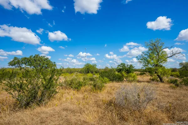 a view of a flower in a garden