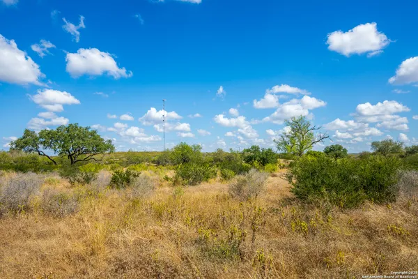 $160,000 | Cr 652 Cr 652, Devine, TX 78016