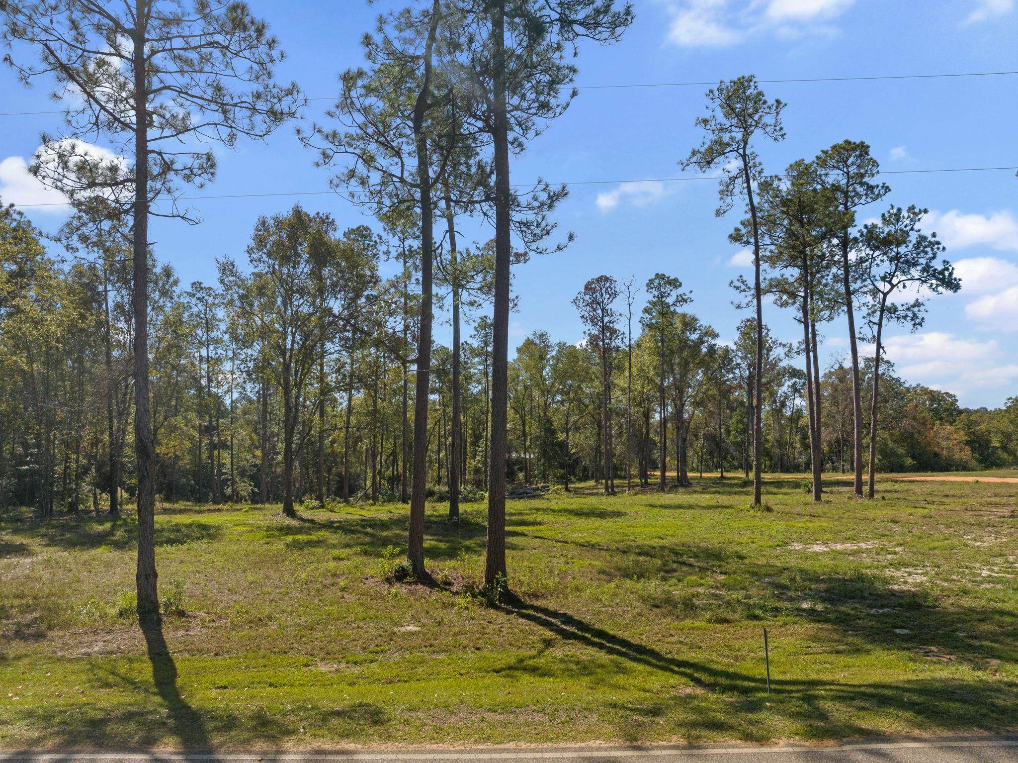 53572 Modelle Bryars Road Perdido, AL 36562 - Photo 4 of 20