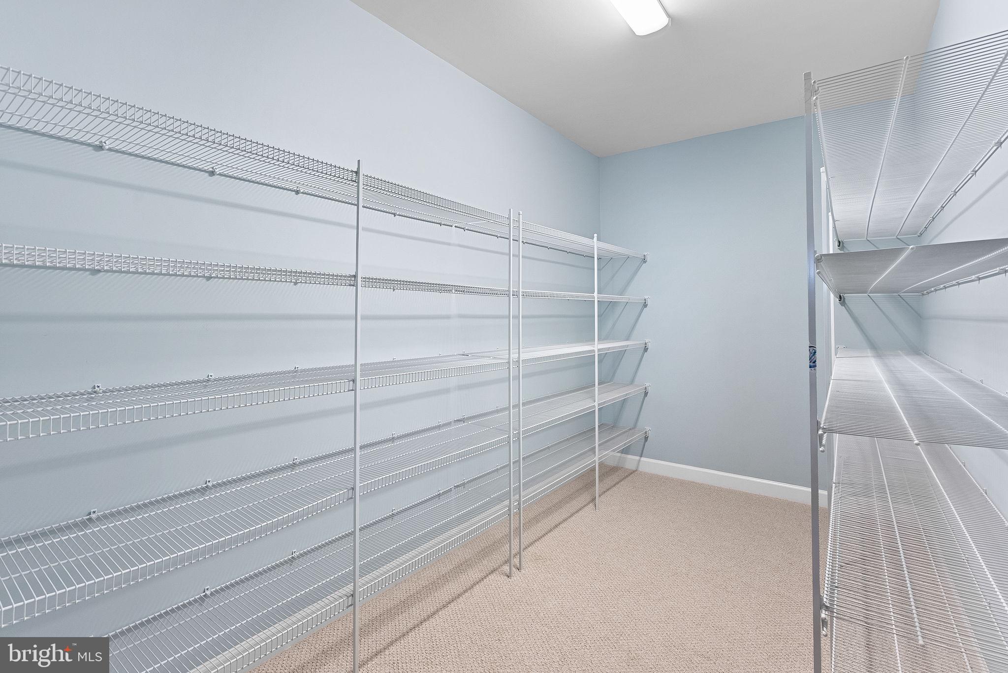 5 Ramsdell Court Round Hill, VA 20141 - Photo 81 of 107 Huge finished craft closet/storage in basement.