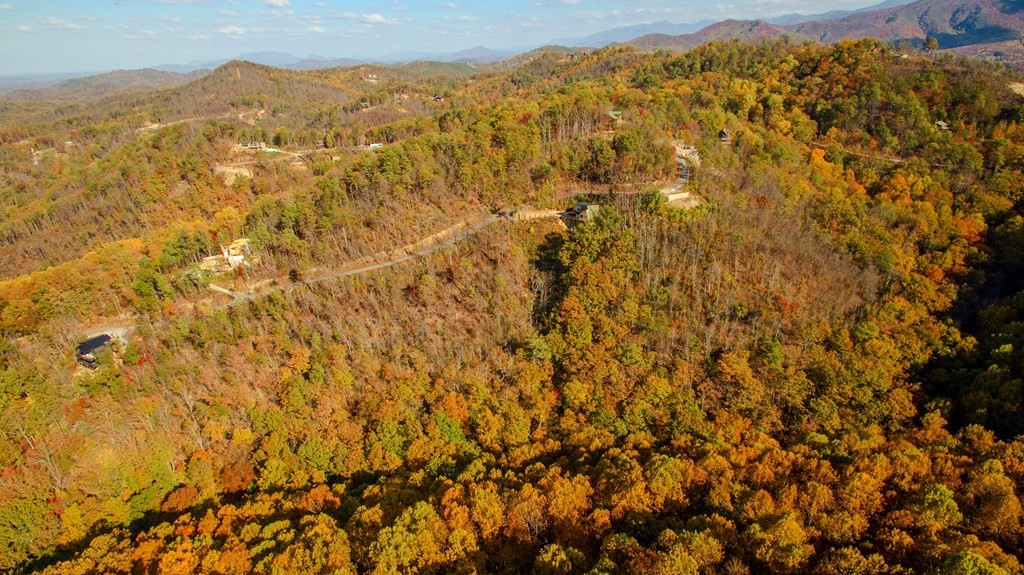 10 Shagbark Hickory Ridge Sevierville, TN 37862 - Photo 19 of 28 Gallery Image 19