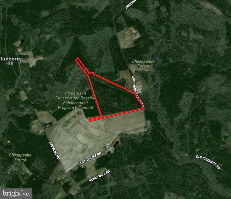 0 Greenbriar Swamp Road Eden, MD 21822 - Photo 1 of 6