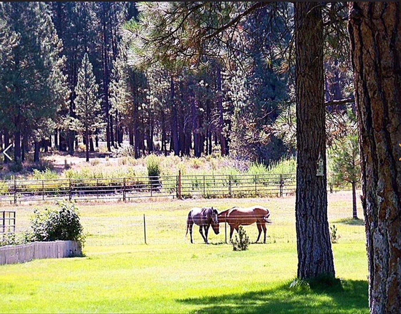 2870 Sprague River Road Chiloquin, OR 97624 - Photo 8 of 25 Additional Photo