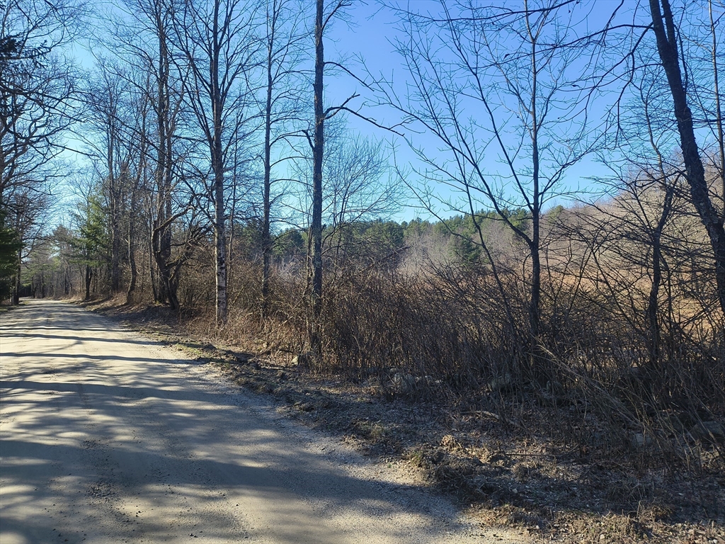 0 Capen/ Clark Road Worthington, MA 01098 - Photo 2 of 13