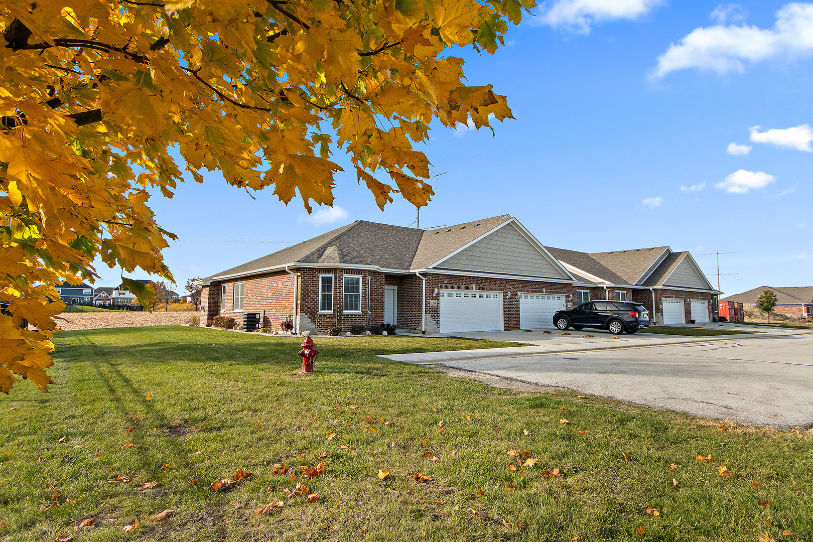 23960 Ann Court Manhattan, IL 60442 - Photo 30 of 31 a front view of a house with a yard