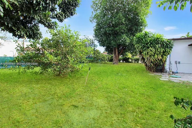 a view of a garden with a tree