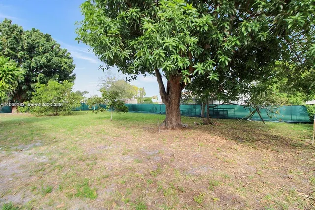 a view of outdoor space with trees all around