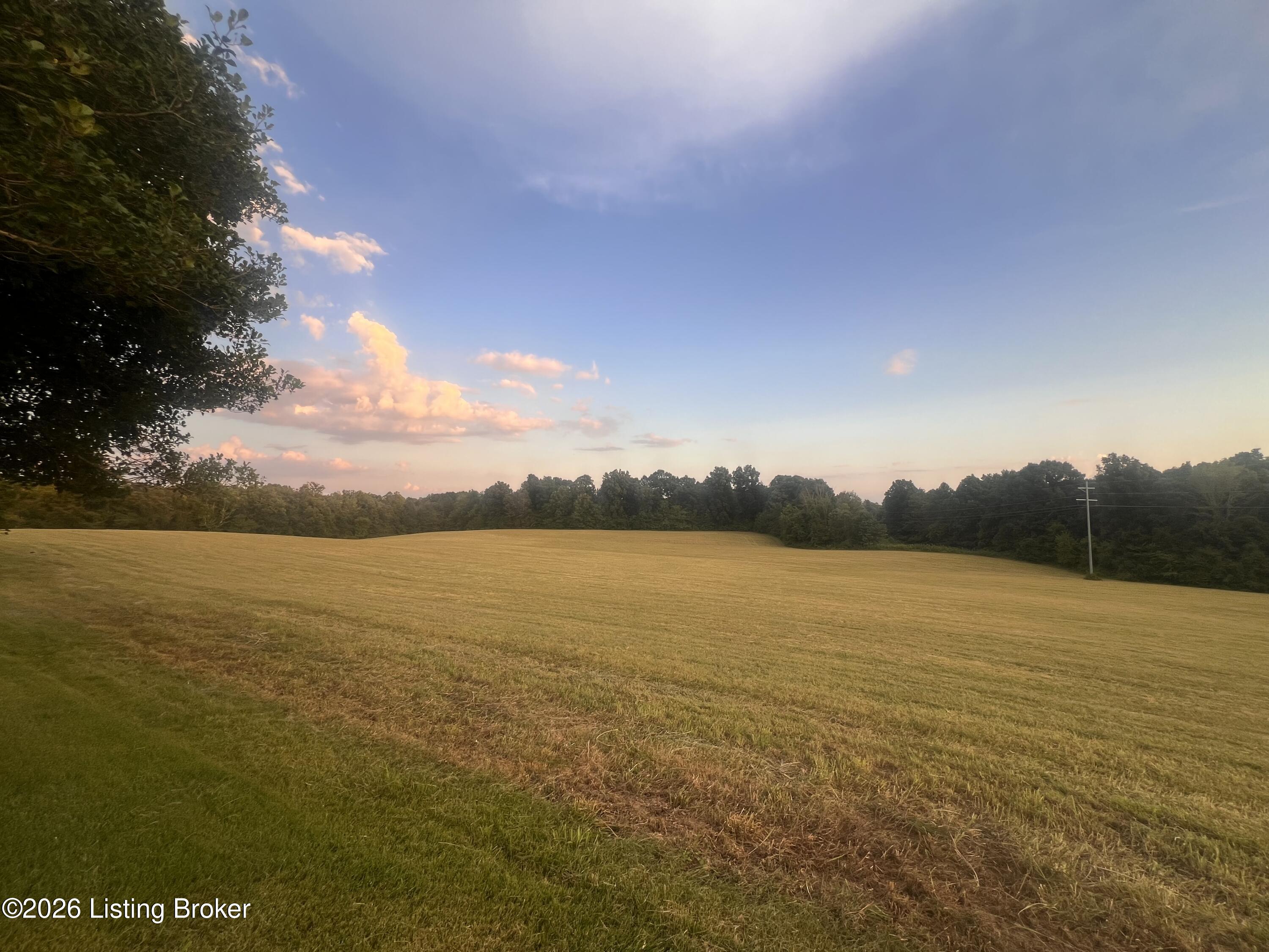 6335 Anneta Road Leitchfield, KY 42754 - Photo 3 of 14 IMG-9976