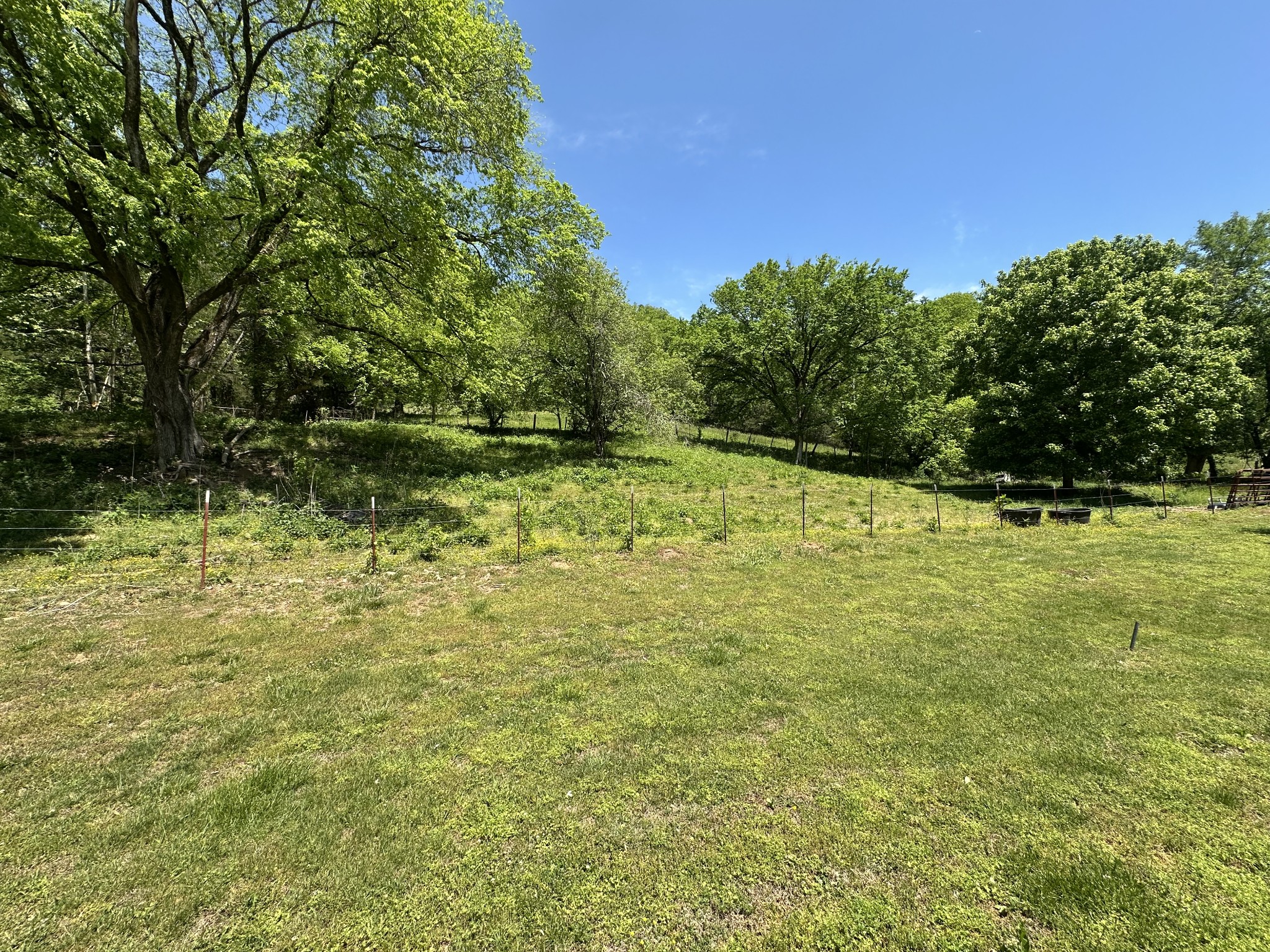 202 Maggart Road Elmwood, TN 38560 - Photo 17 of 34 a backyard of a house with lots of green space