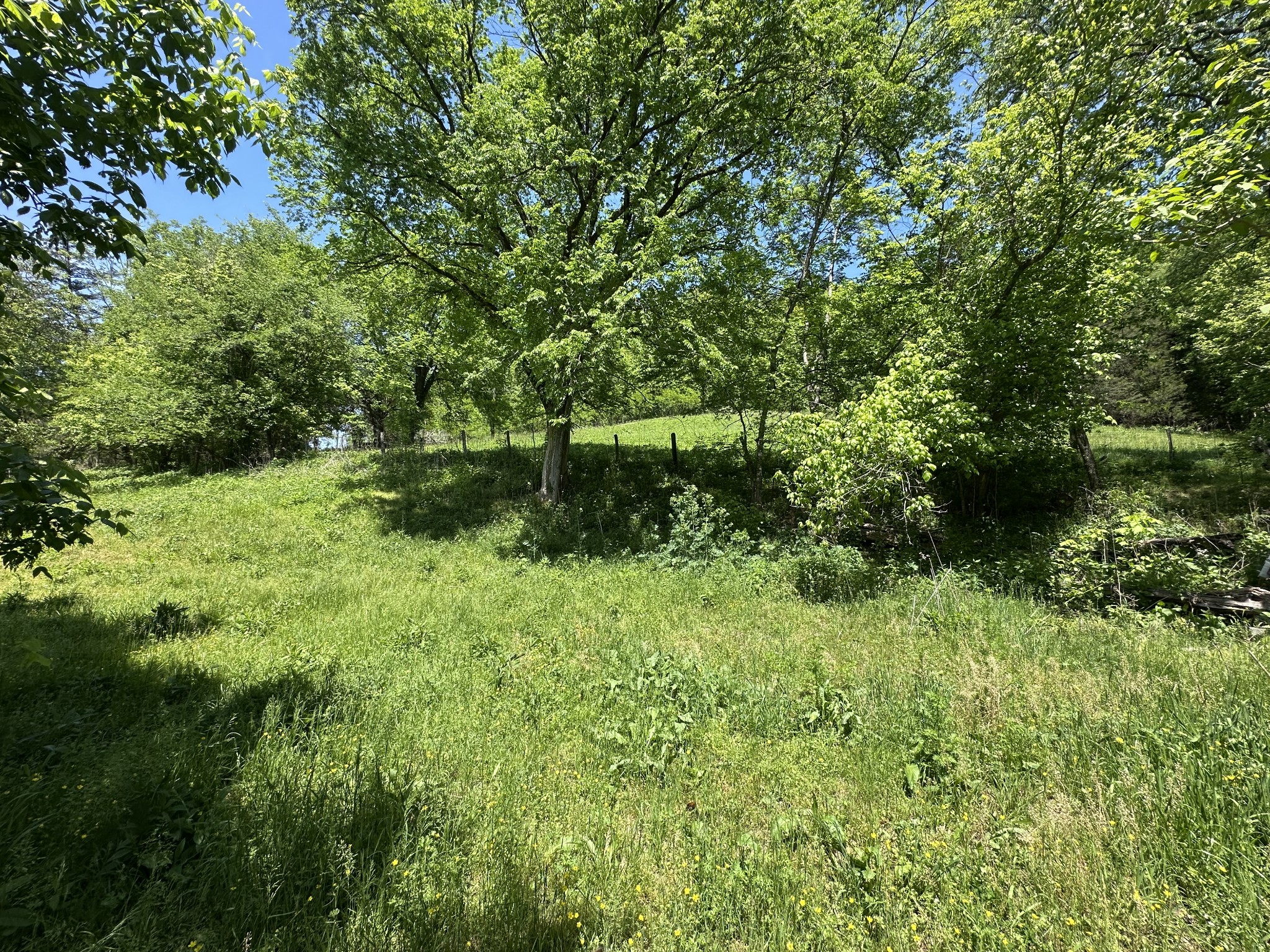 202 Maggart Road Elmwood, TN 38560 - Photo 18 of 34