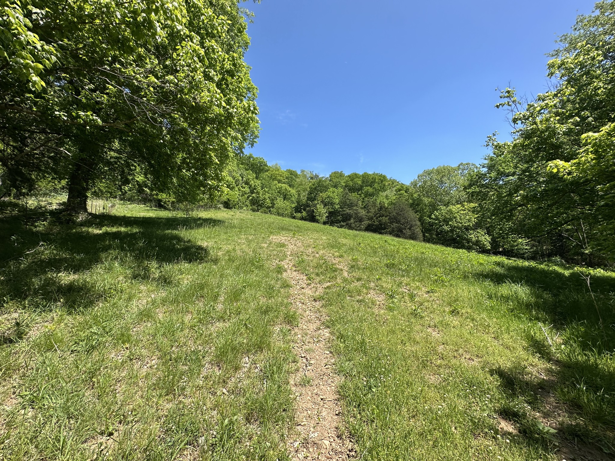 202 Maggart Road Elmwood, TN 38560 - Photo 20 of 34 a view of a grassy field with trees