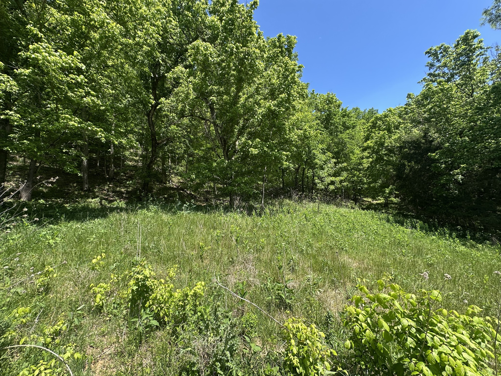 202 Maggart Road Elmwood, TN 38560 - Photo 21 of 34 a view of a garden