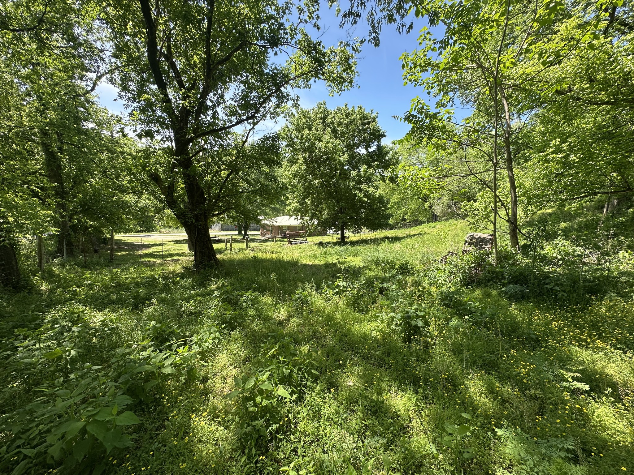 202 Maggart Road Elmwood, TN 38560 - Photo 28 of 34 a view of outdoor space with deck and green space