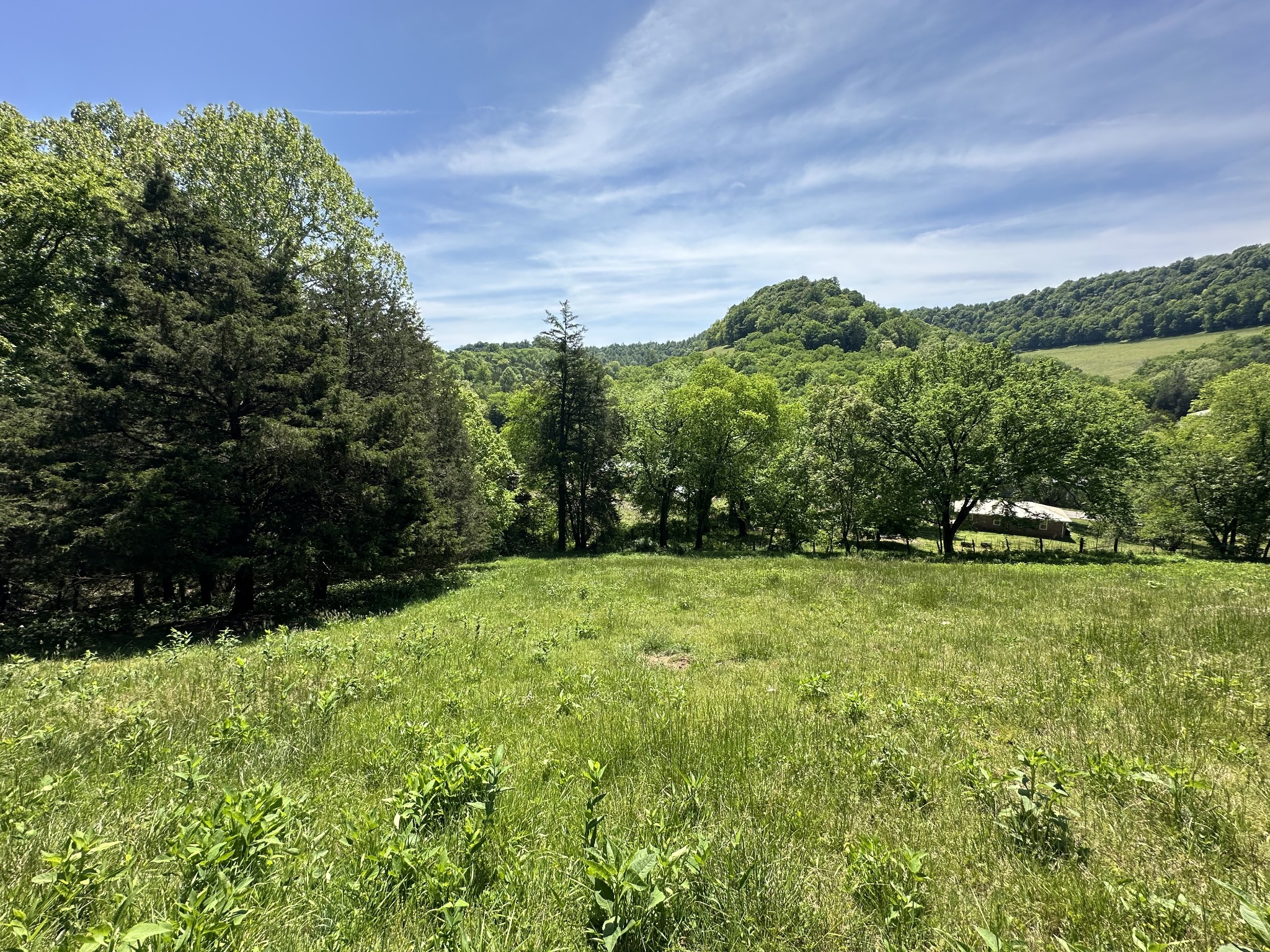 202 Maggart Road Elmwood, TN 38560 - Photo 29 of 34 a view of a garden