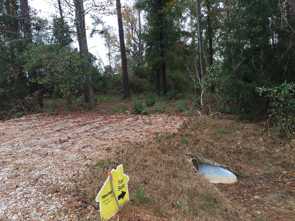 3046 Ed Tolar Road Pansey, AL 36370 - Photo 1 of 1