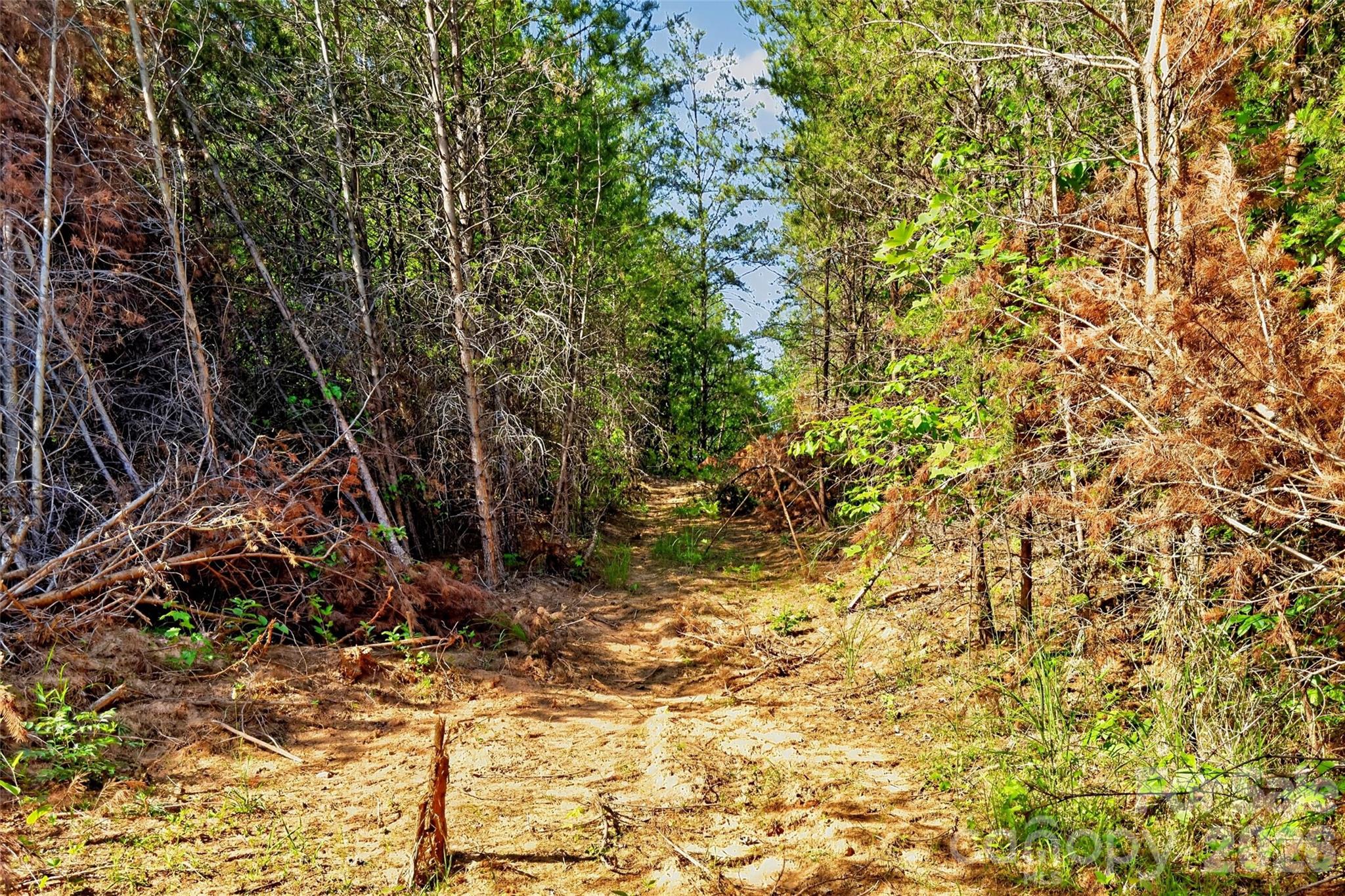 3361 Bethlehem Road Old Fort, NC 28762 - Photo 37 of 47