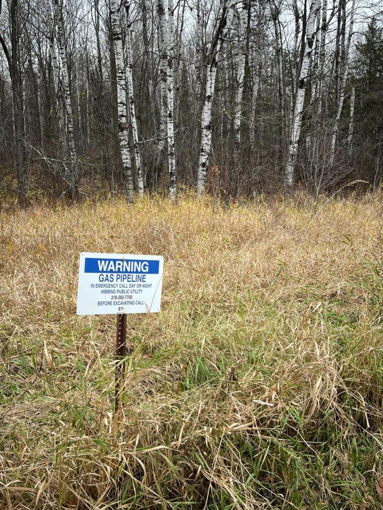 Tbd Town Line Road Hibbing, MN 55746 - Photo 4 of 8