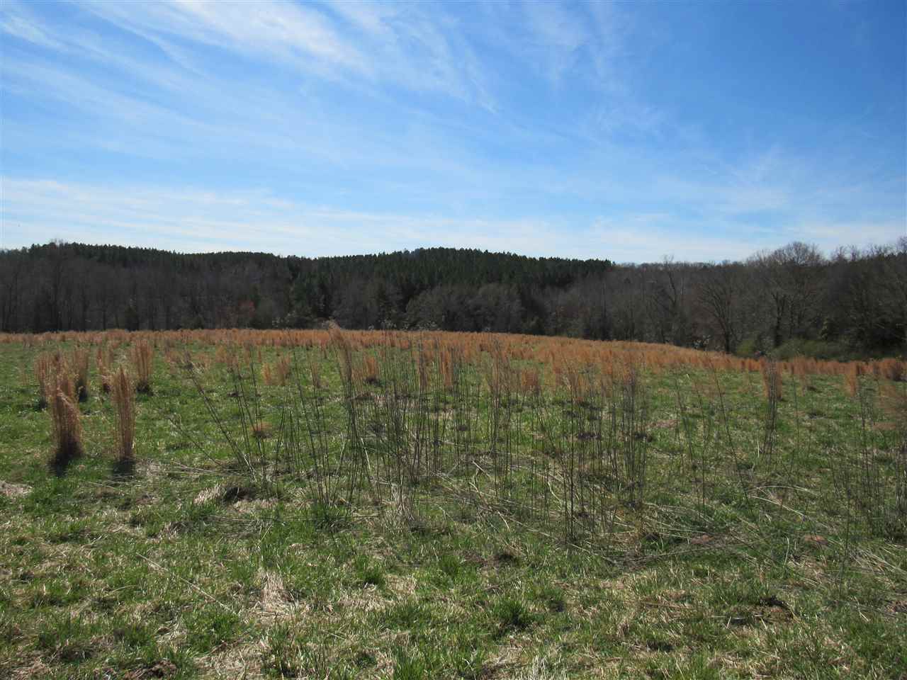 Lot C Lot C Rhodes Road Woodruff, SC 29388 - Photo 1 of 1