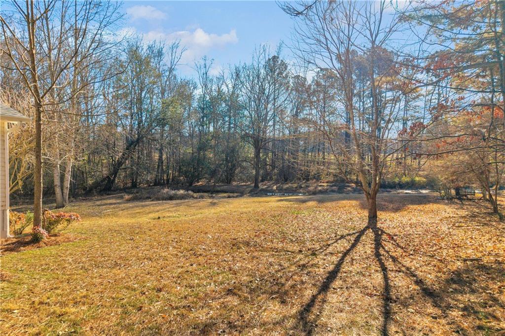 2693 Highway 101 Temple, GA 30179 - Photo 51 of 69 a view of a yard with trees
