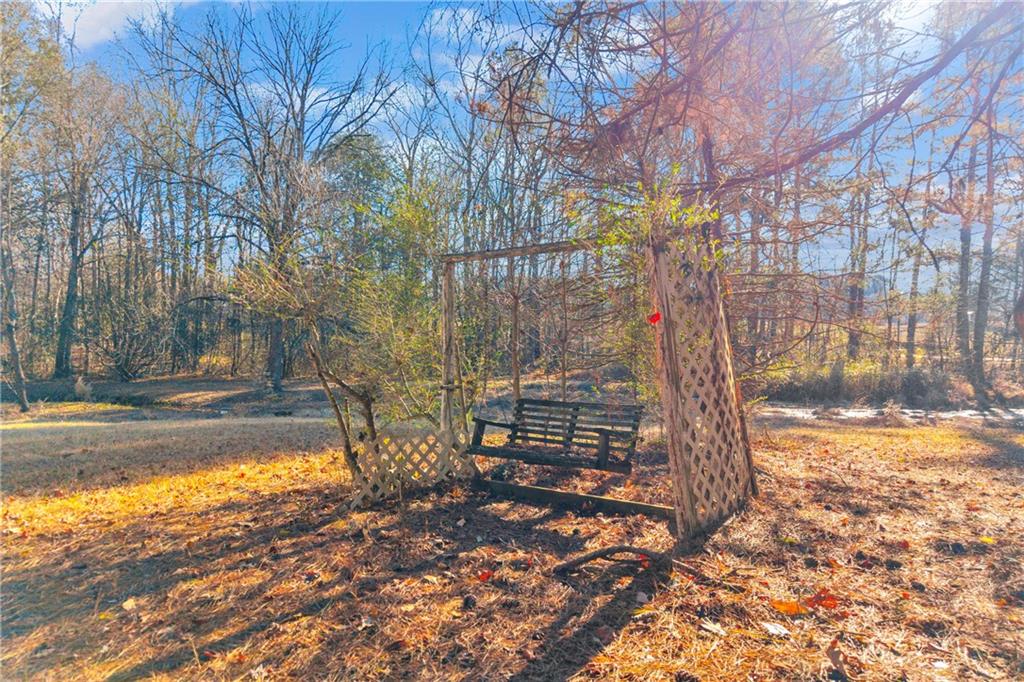 2693 Highway 101 Temple, GA 30179 - Photo 53 of 69 a view of yard with tree