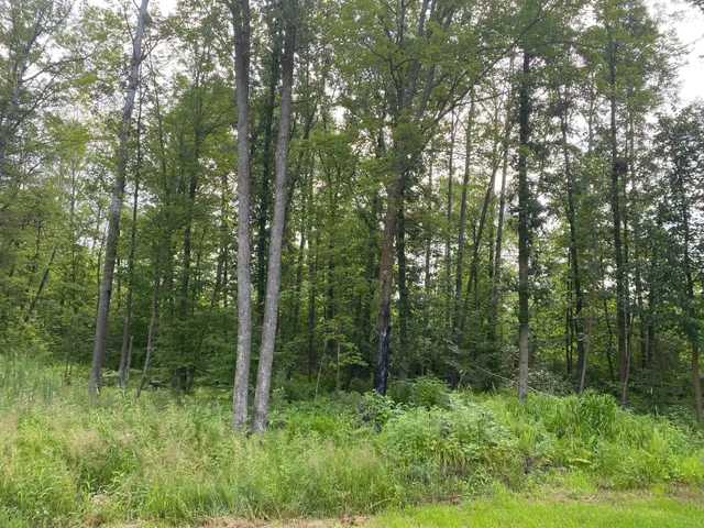 $445,500 | 5181 175th Avenue, Milaca, MN 56353