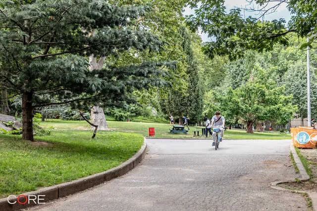 a view of a pathway of a garden