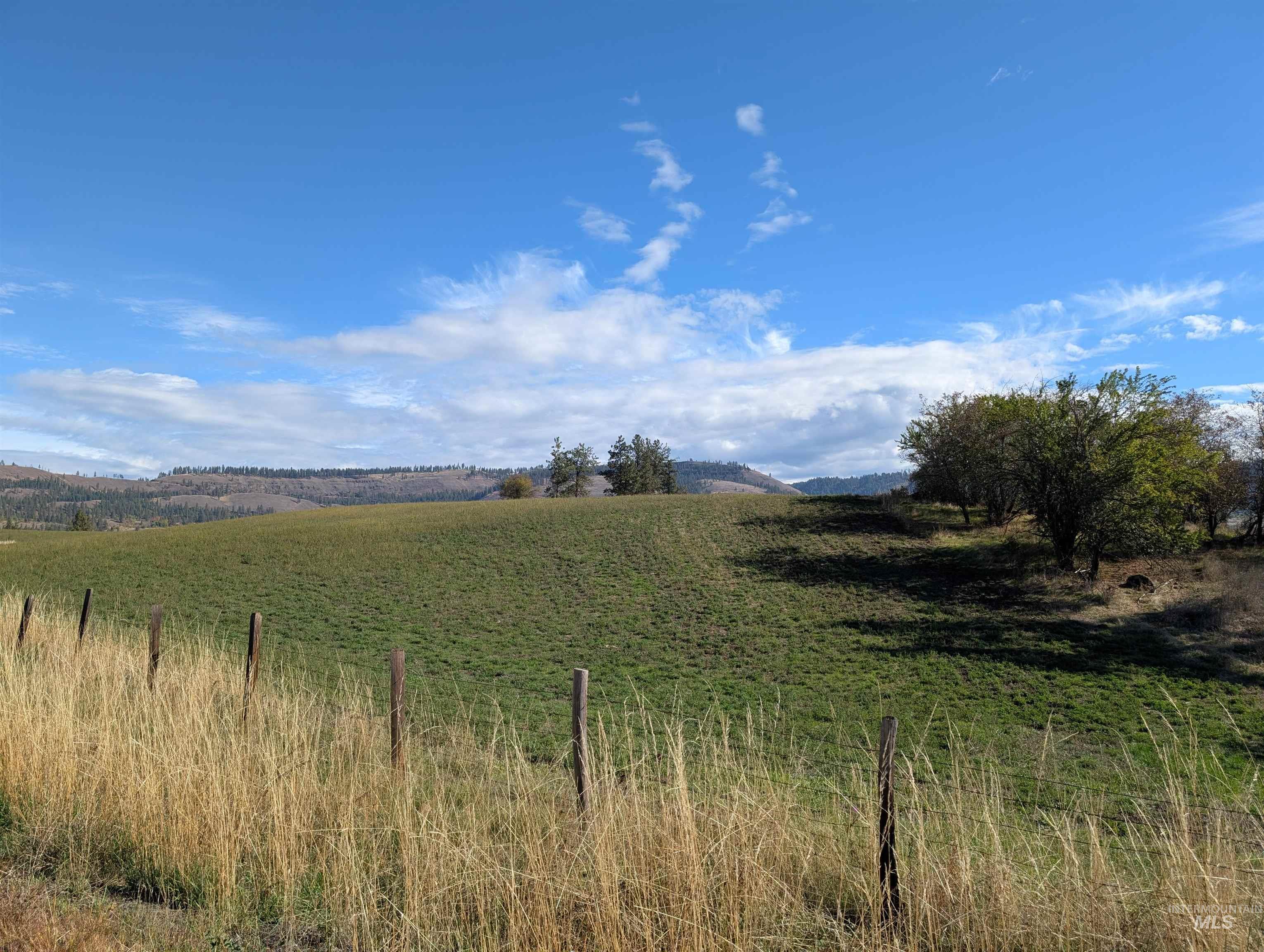 0 Highway 64 Kamiah, ID 83536 - Photo 2 of 4 View of nature with rural landscape