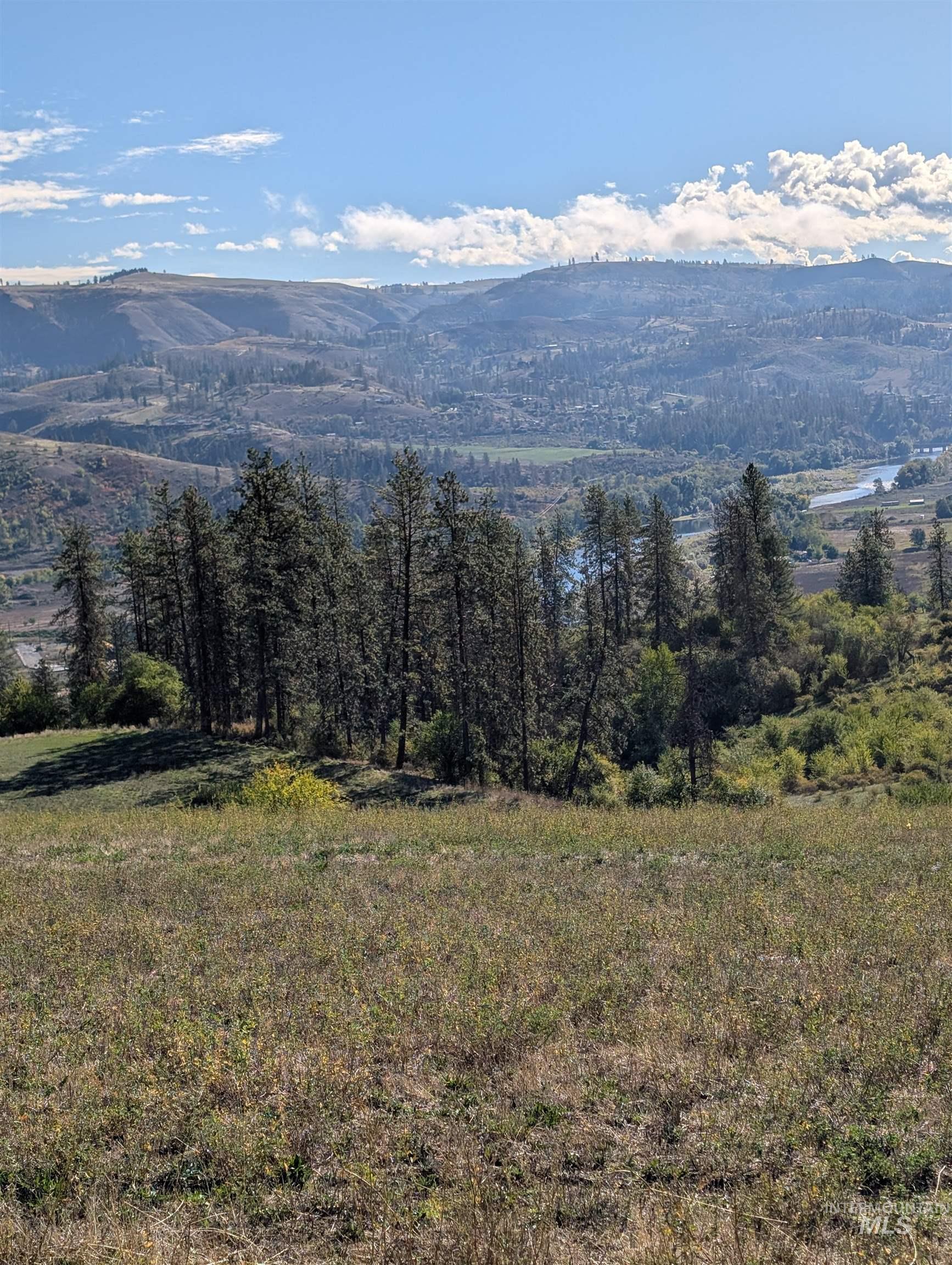 0 Highway 64 Kamiah, ID 83536 - Photo 3 of 4 View of mountain backdrop